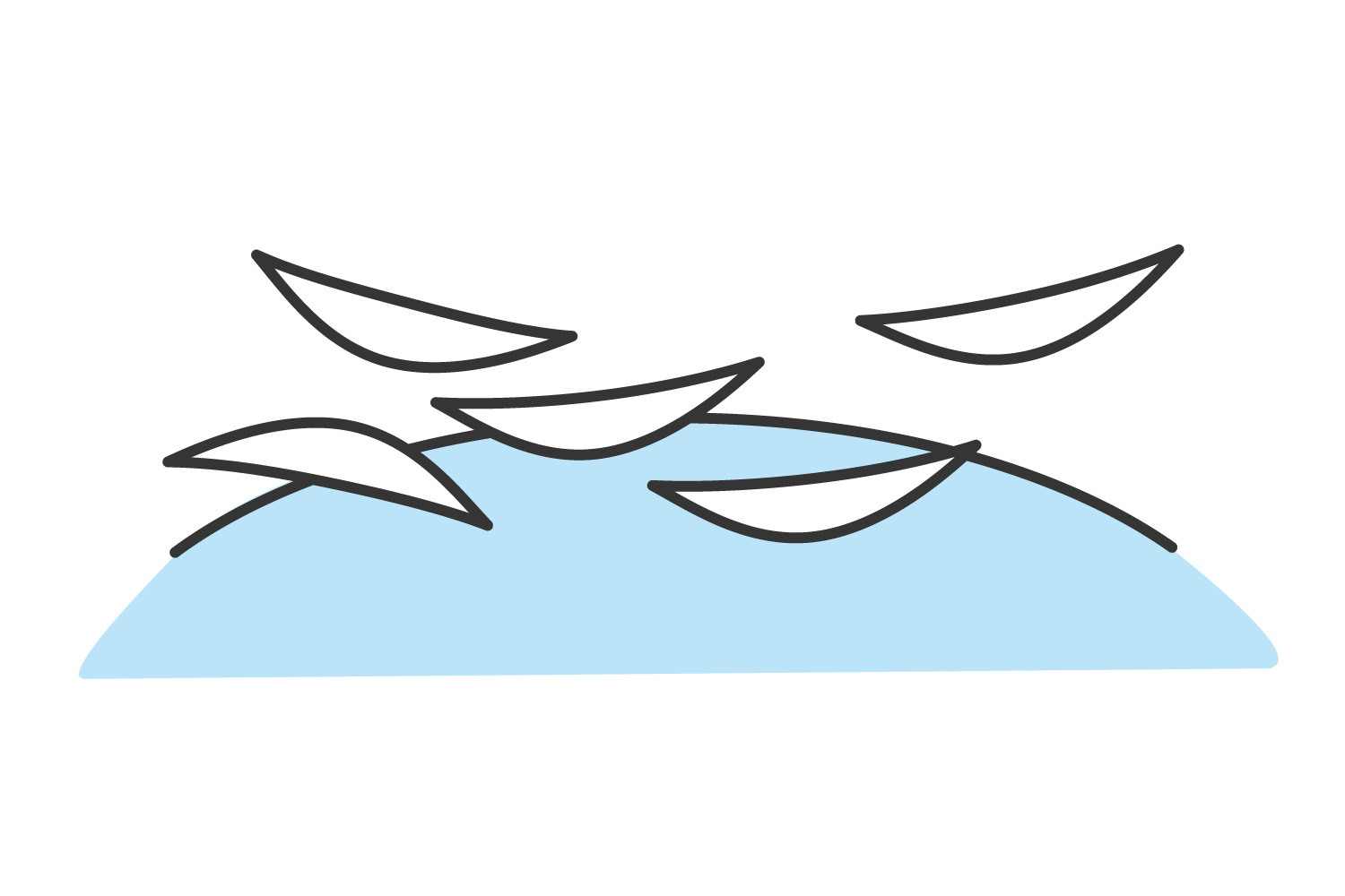 /counseling/application/assets/img/question/illustQ12.jpg